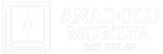 cropped anadolu mobilya ray dolap logo ozel.png